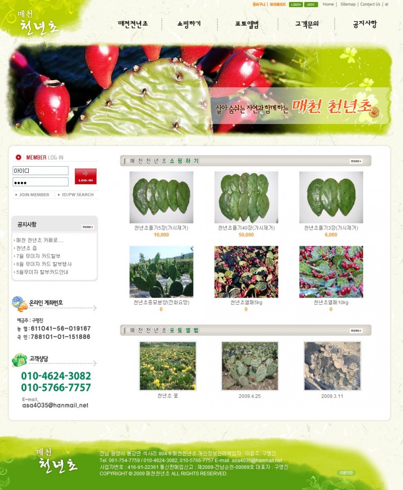 blog